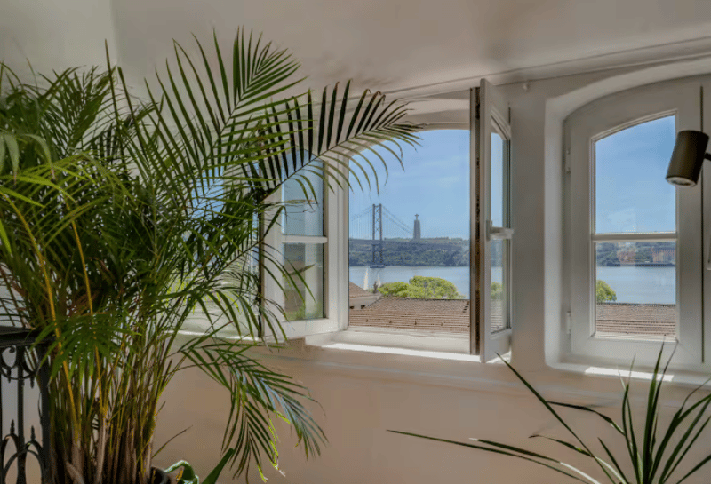 window view of a bridge and water, open window, white walls, two large plants in the corner