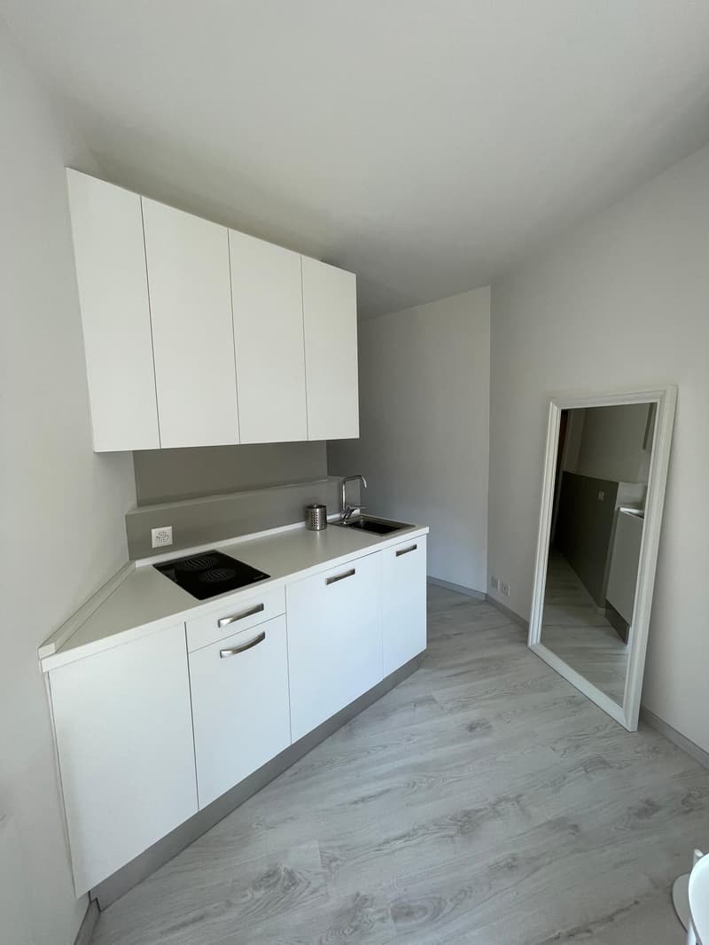 LUGANO – CASTAGNOLA – Vendesi moderno monolocale, zona residenziale parziale vista lago (4)