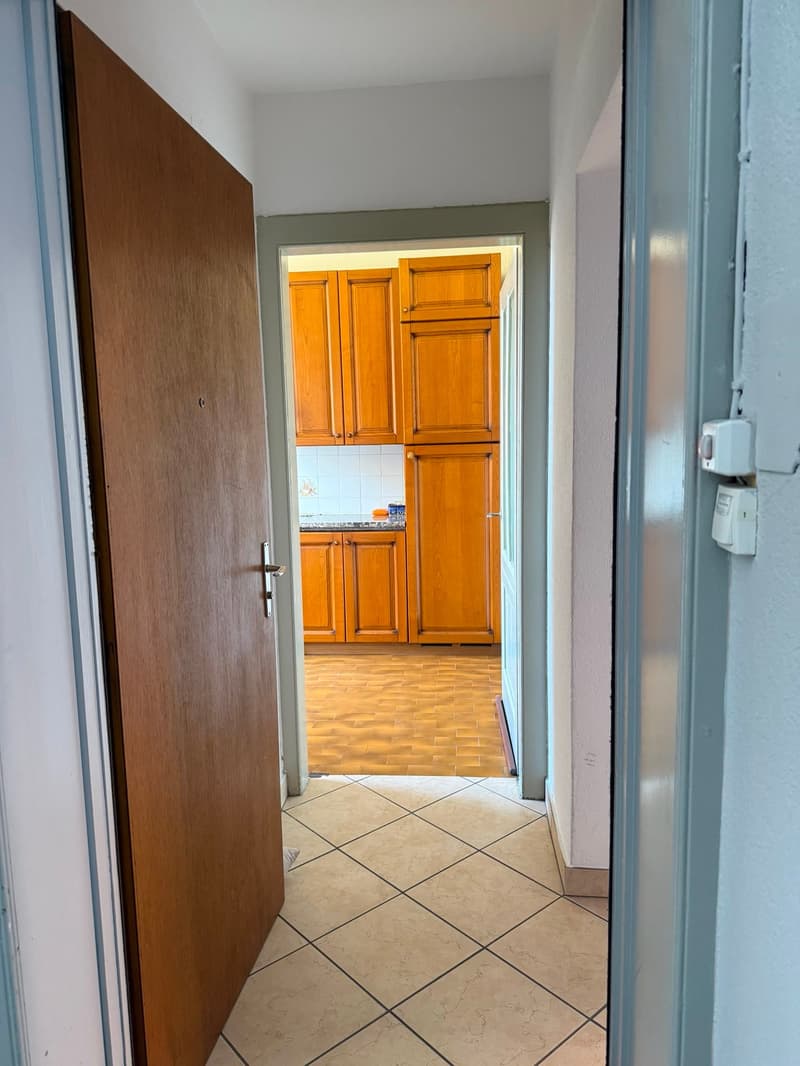 Appartamento 2 locali in affitto a Mendrisio – Disponibile subito (4)