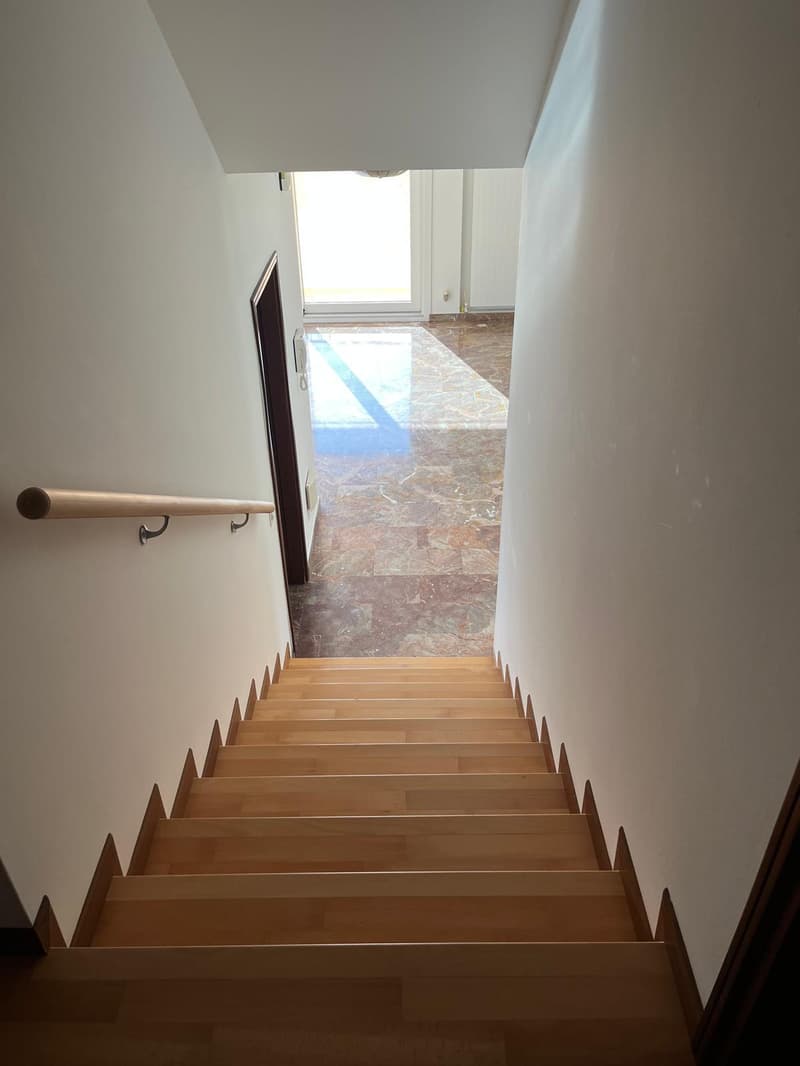 MENDRISIO: In zona tranquilla e residenziale, vendiamo ampia casa, luminosa e con vista aperta. (12)