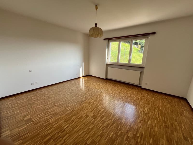 MENDRISIO: In zona tranquilla e residenziale, vendiamo ampia casa, luminosa e con vista aperta. (15)