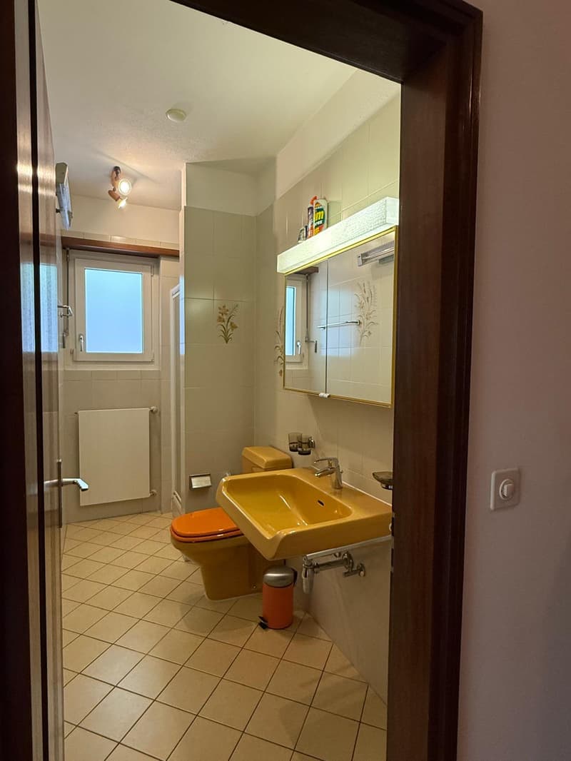 MENDRISIO: In zona tranquilla e residenziale, vendiamo ampia casa, luminosa e con vista aperta. (18)