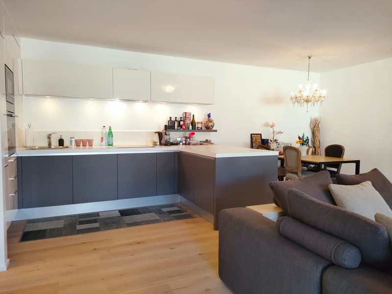 Bissone -  Esclusivo appartamento con giardino e vista mozzafiato sul Lago di Lugano (11)