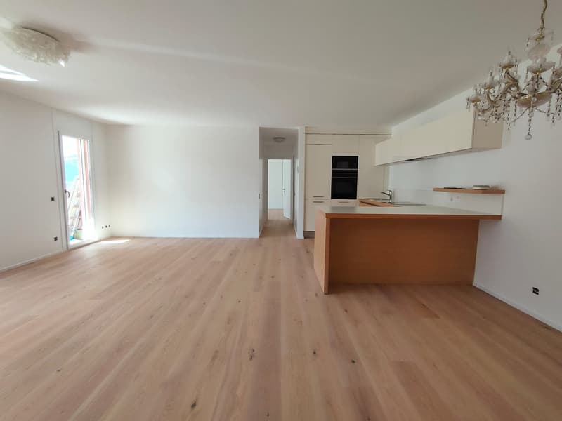 Bissone -  Esclusivo appartamento con giardino e vista mozzafiato sul Lago di Lugano (11)