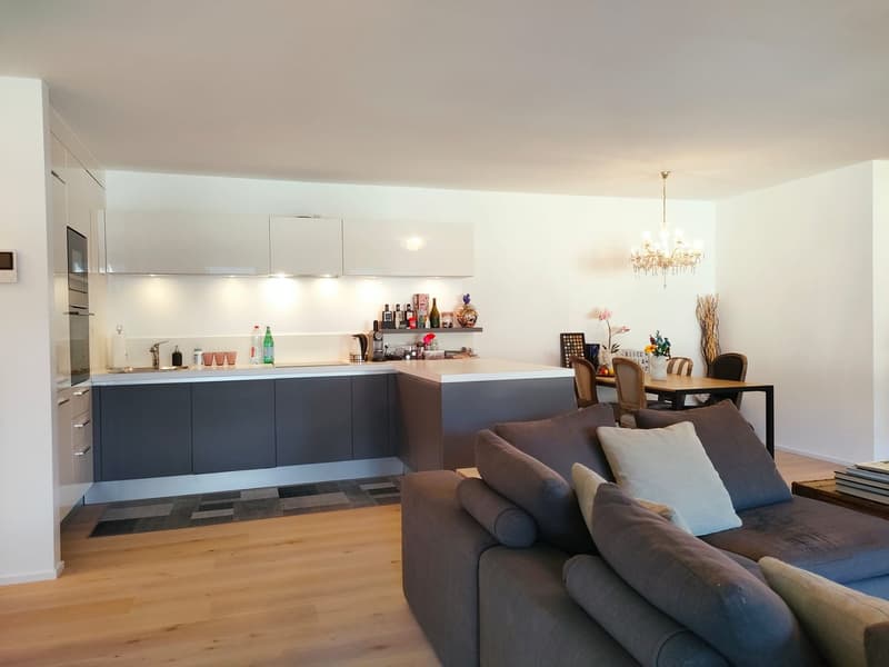 Bissone -  Esclusivo appartamento con giardino e vista mozzafiato sul Lago di Lugano (10)