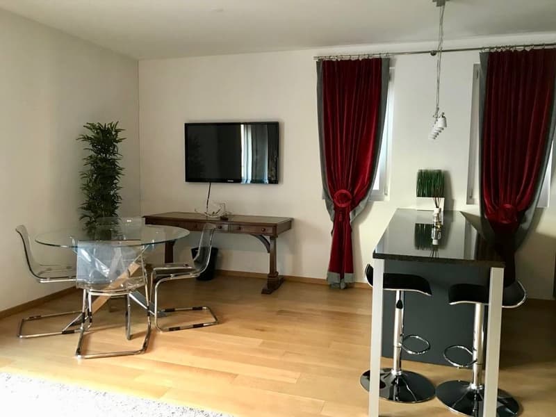 Lugano, zona centrale- In palazzina moderna affittiamo elegante appartamento 2.5 locali (5)