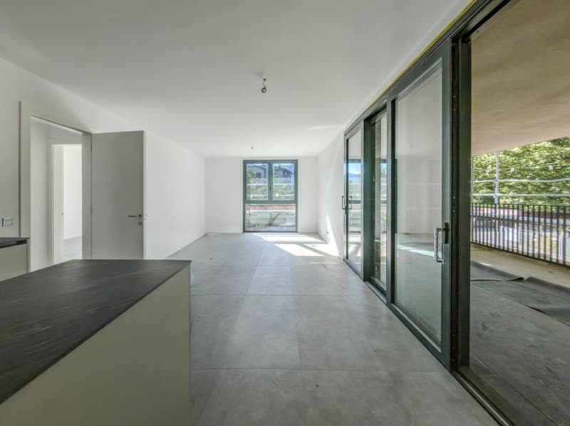 Elegante appartamento di nuova costruzione con terrazza in vendita a Lugano (2)