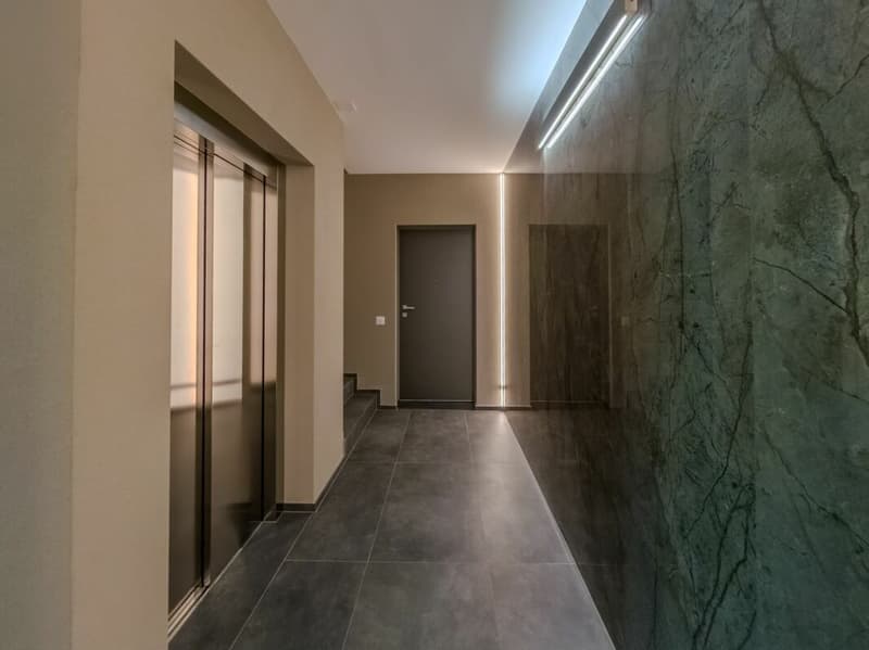 Elegante appartamento di nuova costruzione con terrazza in vendita a Lugano (8)