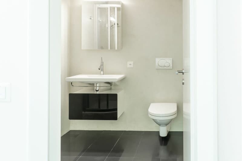 Splendido monolocale all'interno di Palazzo Mantegazza (3)