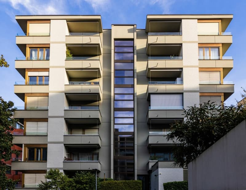 Elegante appartamento 2 locali ristrutturato con terrazza (3)