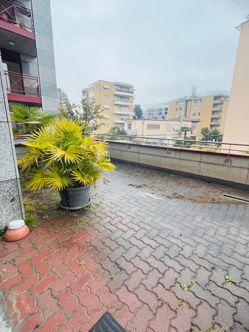 Uffici luminosi di 2,5 locali con ampia terrazza e posti auto (5)