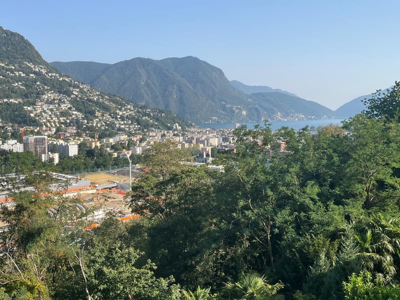 Elegante 4.5 locali con vista lago (20)