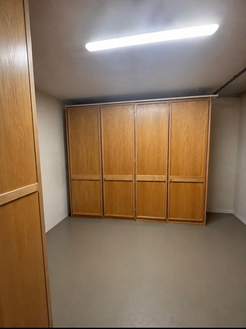 Elegante 4.5 locali con vista lago (21)