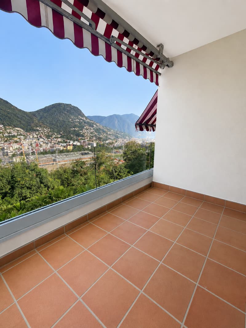 Elegante 4.5 locali con vista lago (1)