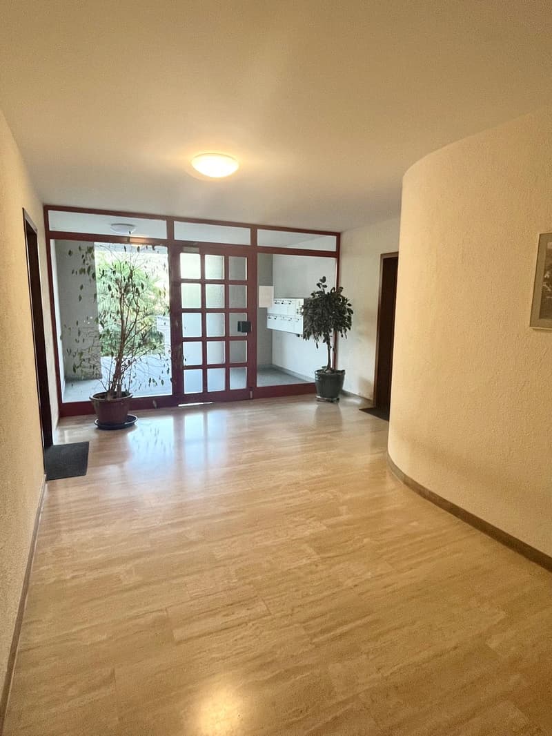 Elegante 4.5 locali con vista lago (19)