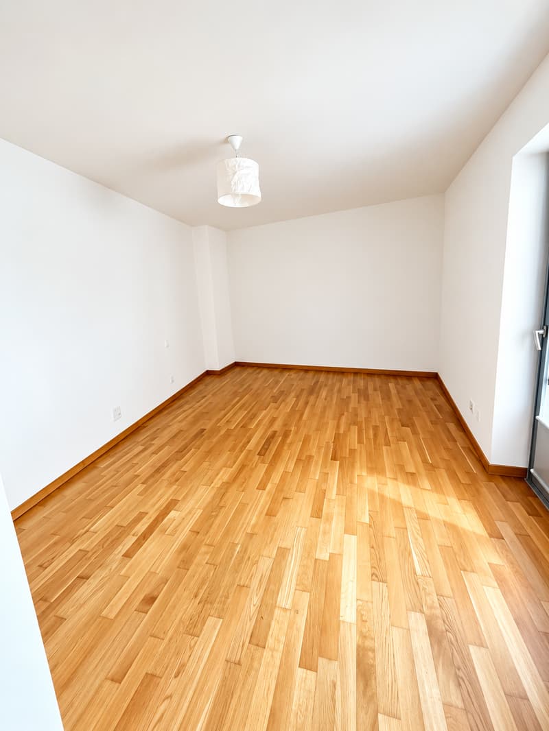 Appartamento di 3.5 locali ristrutturato Piazza Maggiore (12)