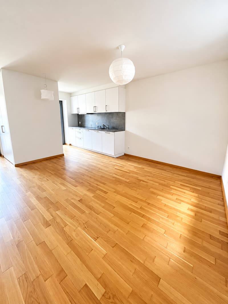 Appartamento di 3.5 locali ristrutturato Piazza Maggiore (3)