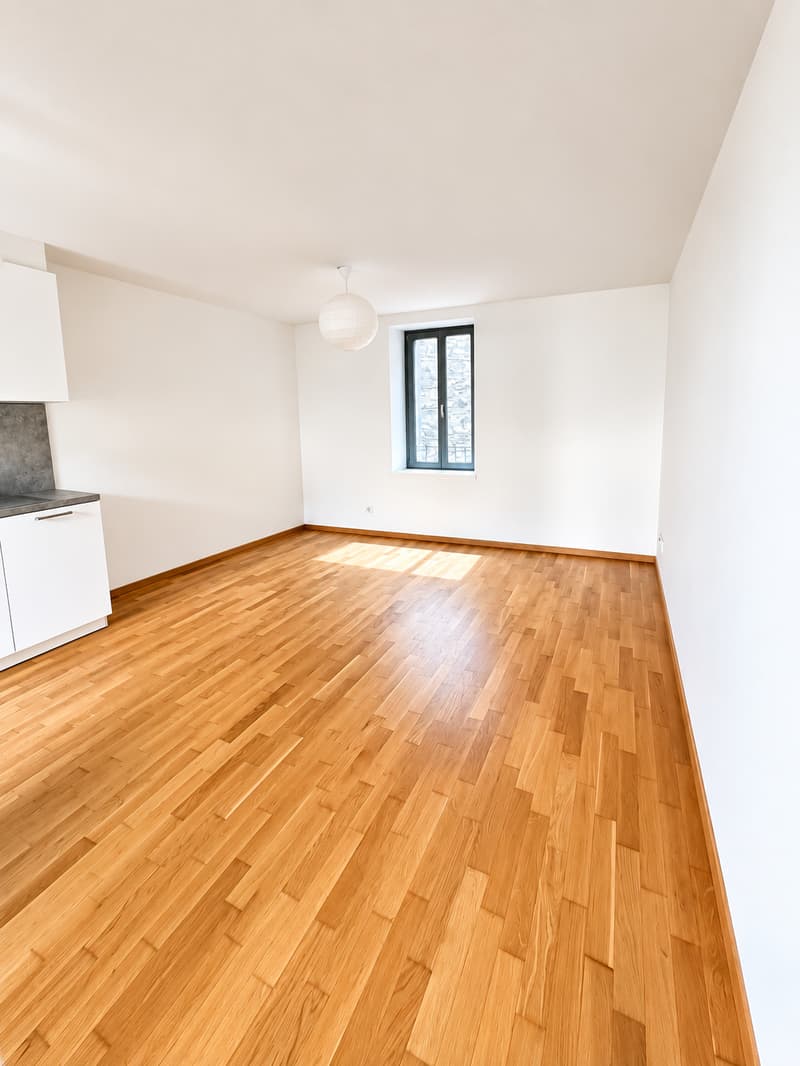 Appartamento di 3.5 locali ristrutturato Piazza Maggiore (2)