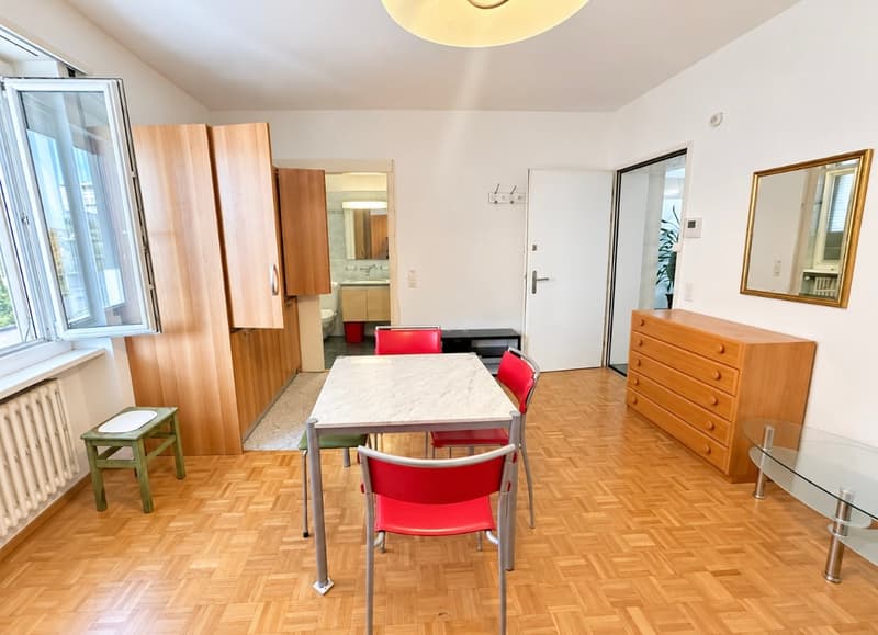 Accogliente monolocale arredato a Lugano – disponibile subito! (3)