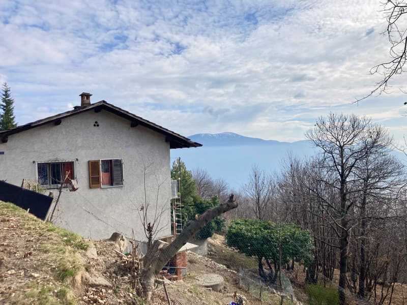 Haus zum renovieren in Monte Brè (2)