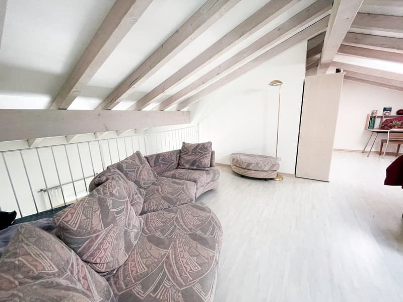 Grande appartamento 6.5 locali, Duplex con terrazza e parcheggio (14)