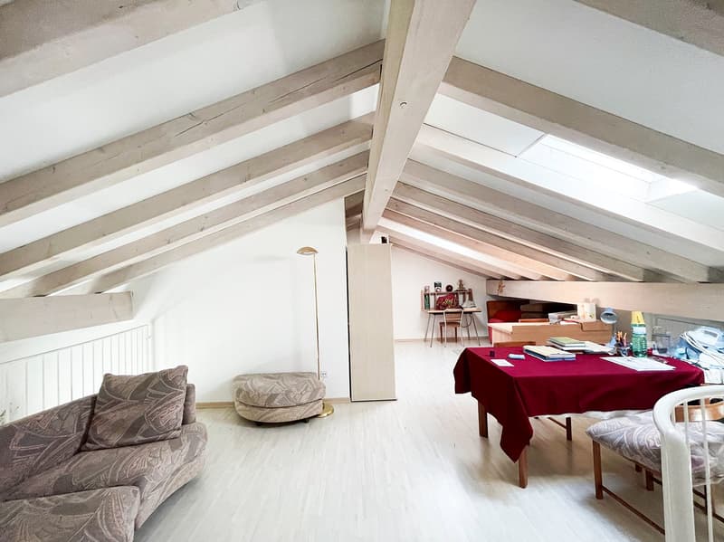 Grande appartamento 6.5 locali, Duplex con terrazza e parcheggio (15)