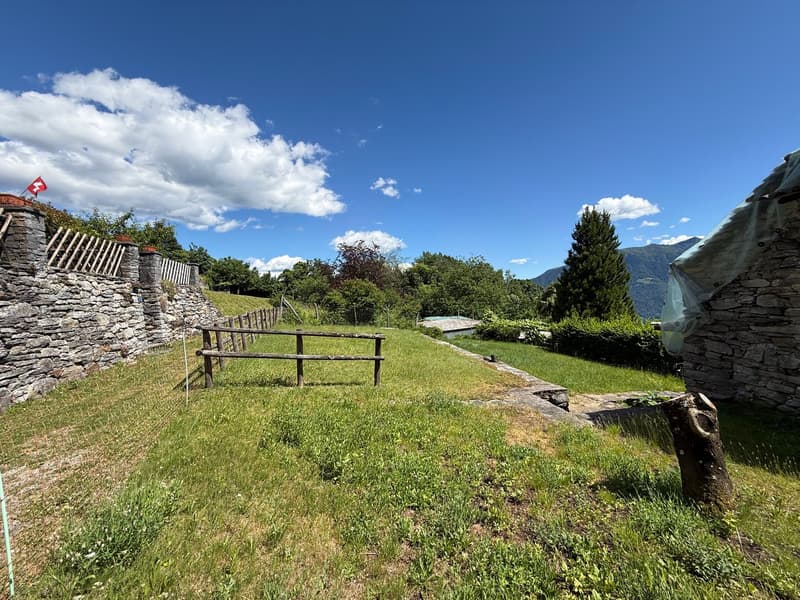 Rustico im historischen Zentrum von Viona- Brione Sopra Minusio (25)