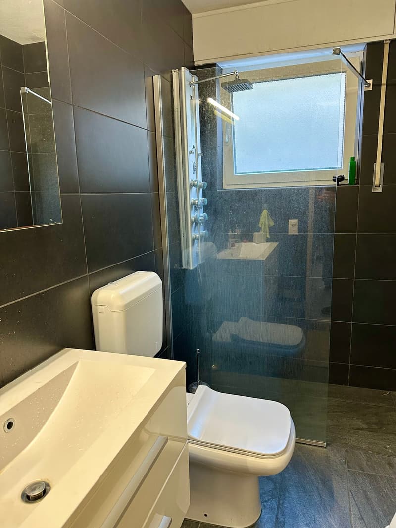 Modern bathroom with dark tile walls, glass shower enclosure, toilet, and vanity with sink