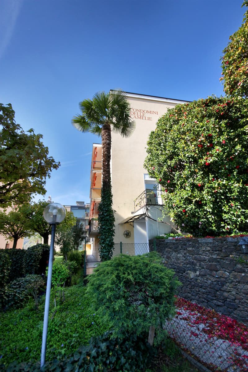 Multistory building, beige color, balconies with railings, entrance canopy, surrounded by greenery, palm tree, stone wall, street lamp