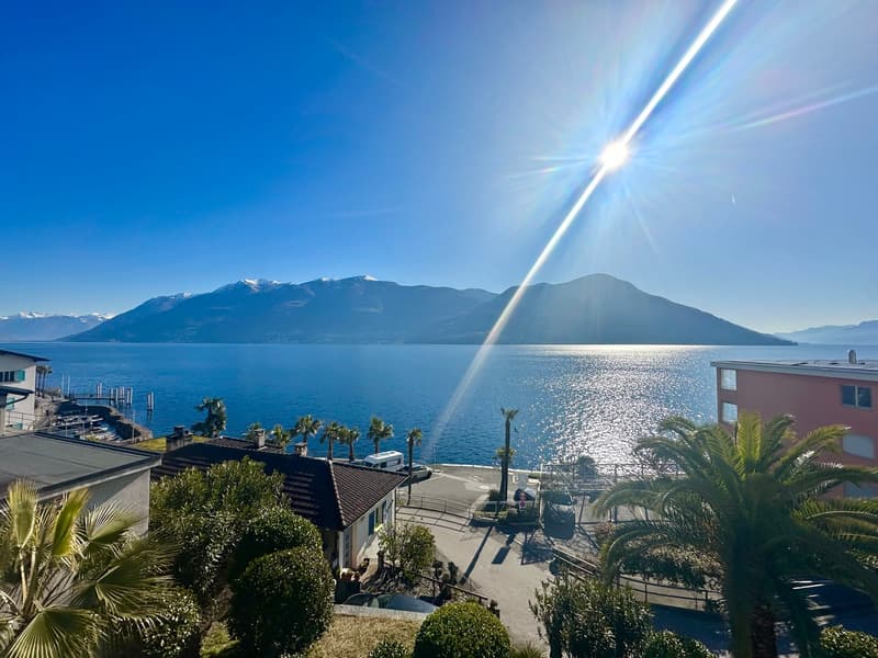 The image shows a scenic view of a lake or body of water surrounded by mountains. The foreground features a residential area with palm trees and other greenery. The water is reflecting the bright sunlight, creating a sparkling effect. The mountains in the