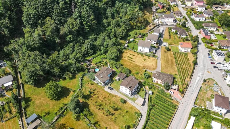 Centovalli, terreno edificabile in zona residenziale (4)
