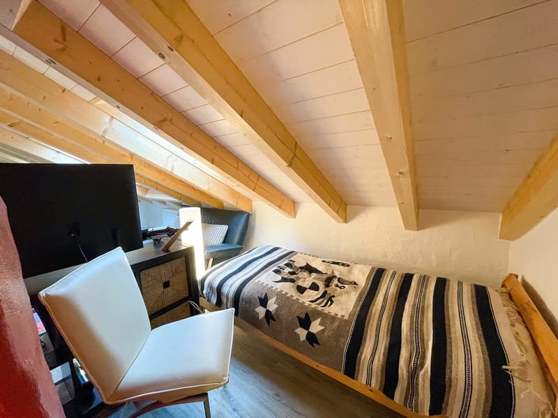 Einfamilienhaus mit separater Dachwohnung (23)