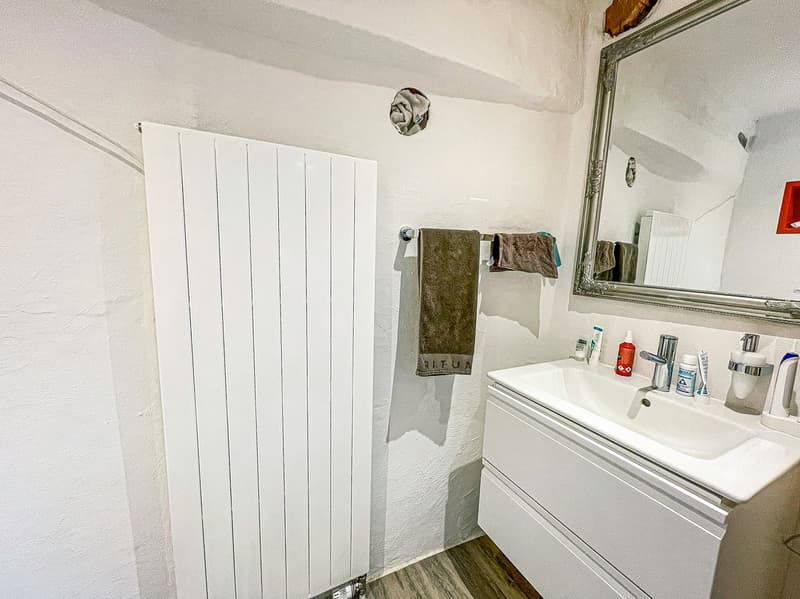 Einfamilienhaus mit separater Dachwohnung (32)
