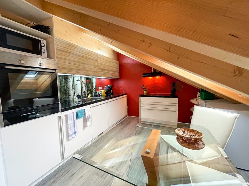 Einfamilienhaus mit separater Dachwohnung (26)