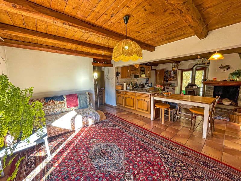 Casa Tipica Ticinese con giardino -  Typisches Tessiner Haus mit Garten (5)