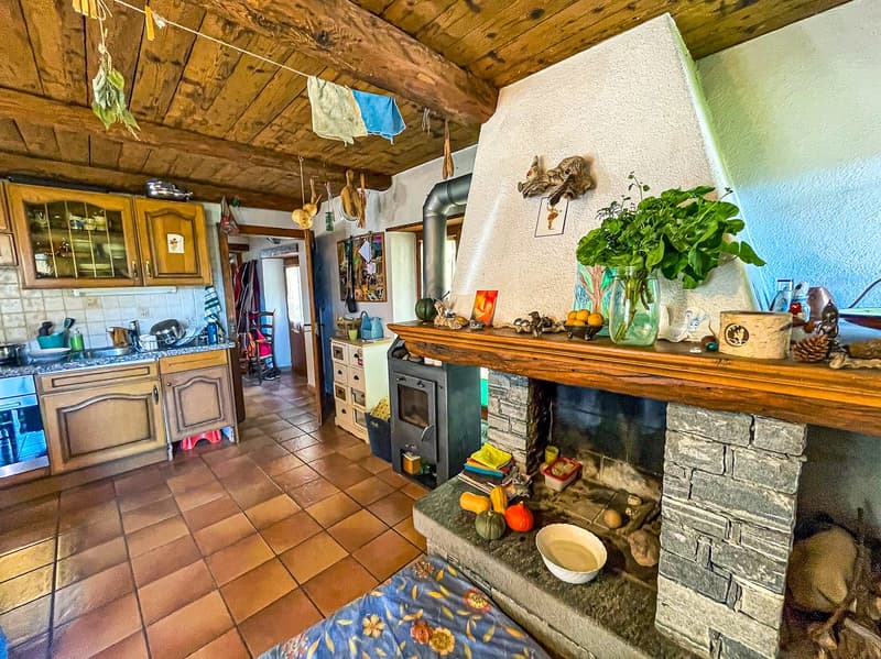 Casa Tipica Ticinese con giardino -  Typisches Tessiner Haus mit Garten (3)