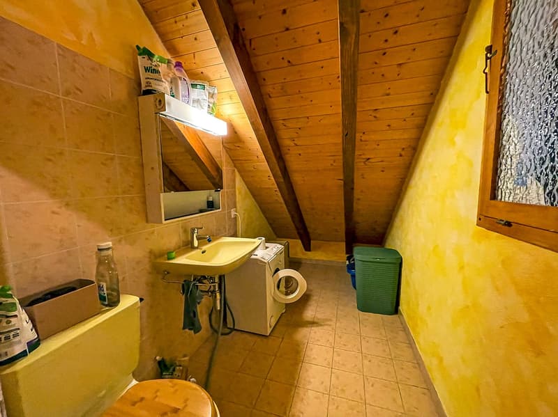 Casa Tipica Ticinese con giardino -  Typisches Tessiner Haus mit Garten (23)