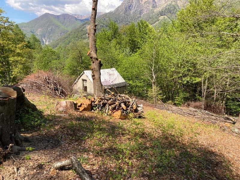 The image shows a picturesque mountain landscape with lush green forests and a small wooden cabin in the foreground. There is a pile of chopped wood next to the cabin, indicating it may be used for heating or cooking. The mountains in the background appea