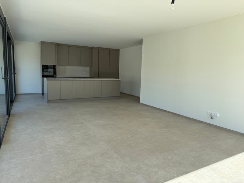Appartamento moderno con Giardino a Giubiasco (12)
