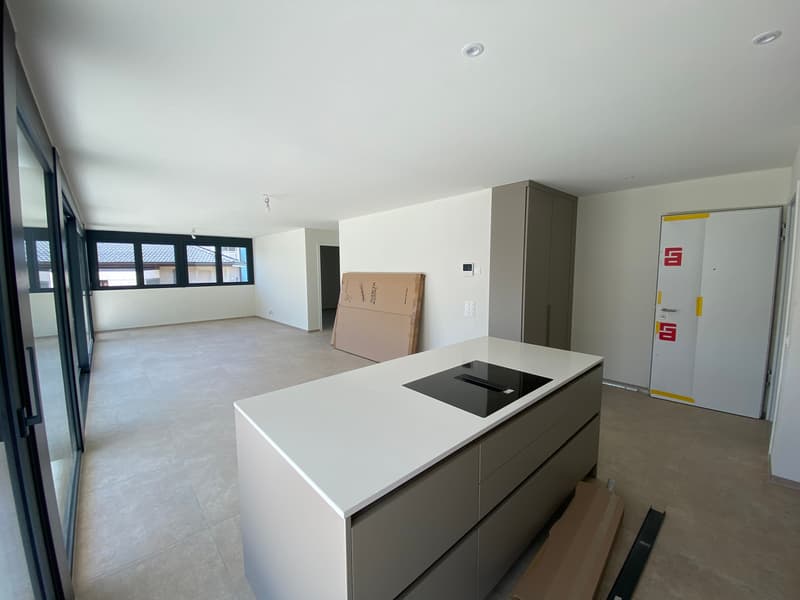Appartamento moderno con terrazza a Giubiasco (5)