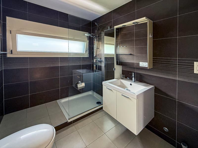 Modern bathroom with dark tile walls, large window, glass shower enclosure, vanity with sink, and toilet