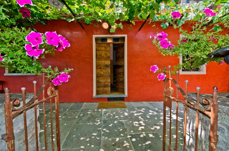 Colorful outdoor space with a red wall, wooden door frame, and lush greenery with pink flowers. The floor is made of green and white patterned tiles. There are rustic metal railings surrounding the space.