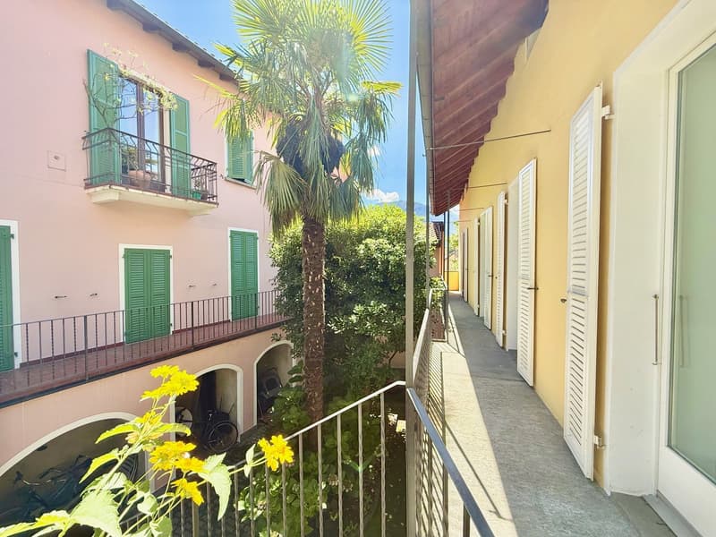 A row of houses with balconies, green shutters, and metal railings. There is a palm tree and a bicycle in the center, with another bicycle parked on the right side. The pathway is narrow, leading to the entrance of the house. A small plant with yellow flo