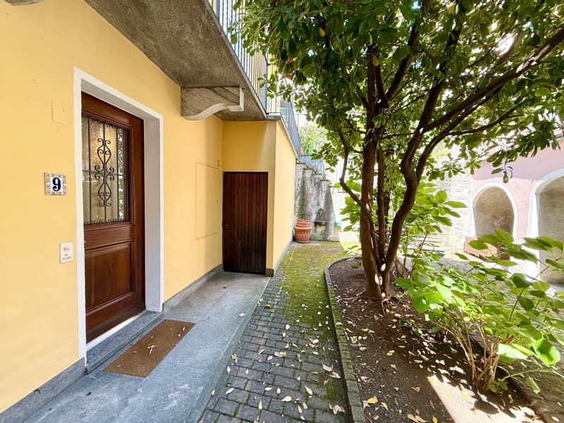 yellow painted wall, wooden door, paved walkway, plant, building with balcony
