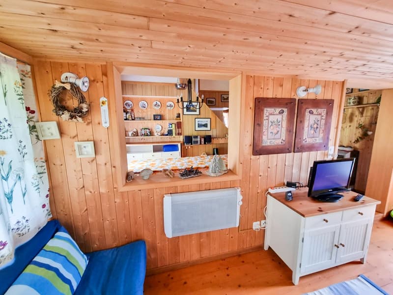 room with wooden walls, white desk, wooden floor, TV, couch with pillows, bed, night lamp