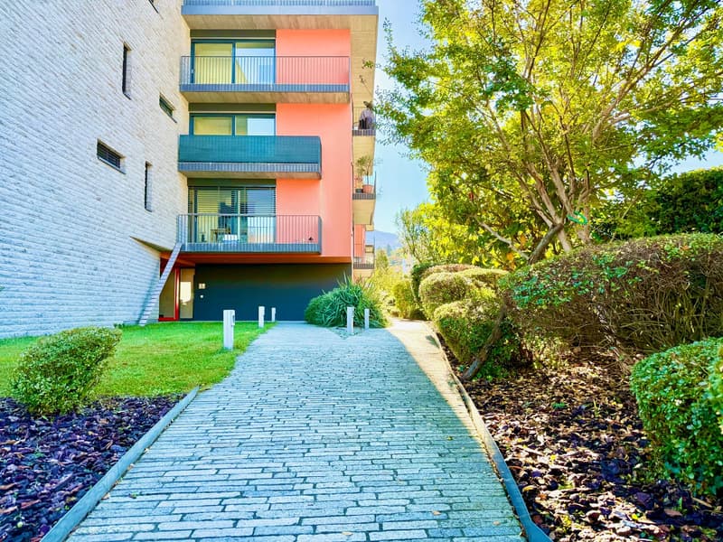 modern building, 4 floors, brick walls, glass windows, balconies, brick pathway, trees, bushes, parking area