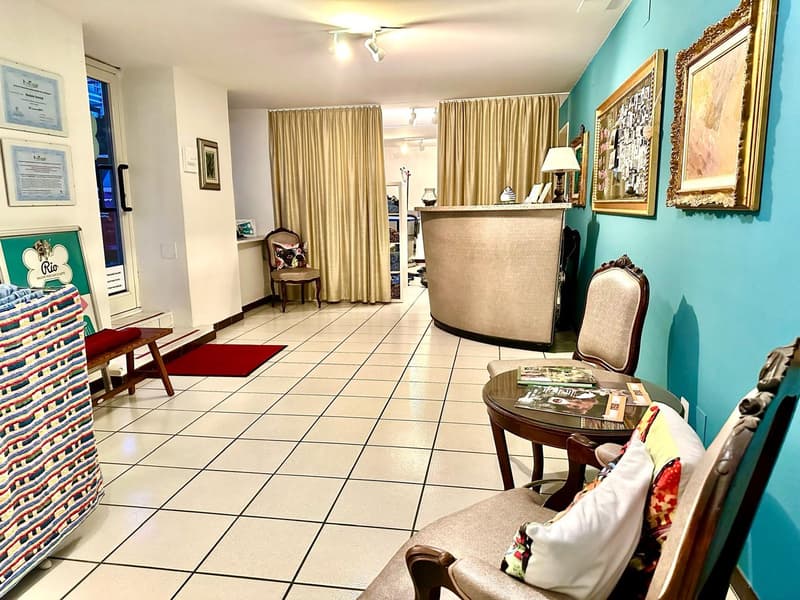 main entrance, white tiled floor, brown wooden desk, blue walls, cushioned chair, lamp, table with books, two chairs, reception desk, curtain
