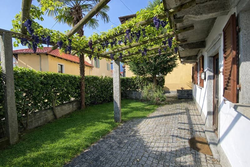 cobblestone path, archway with grape vine, hedge, grass, yellow building with red roof, tree