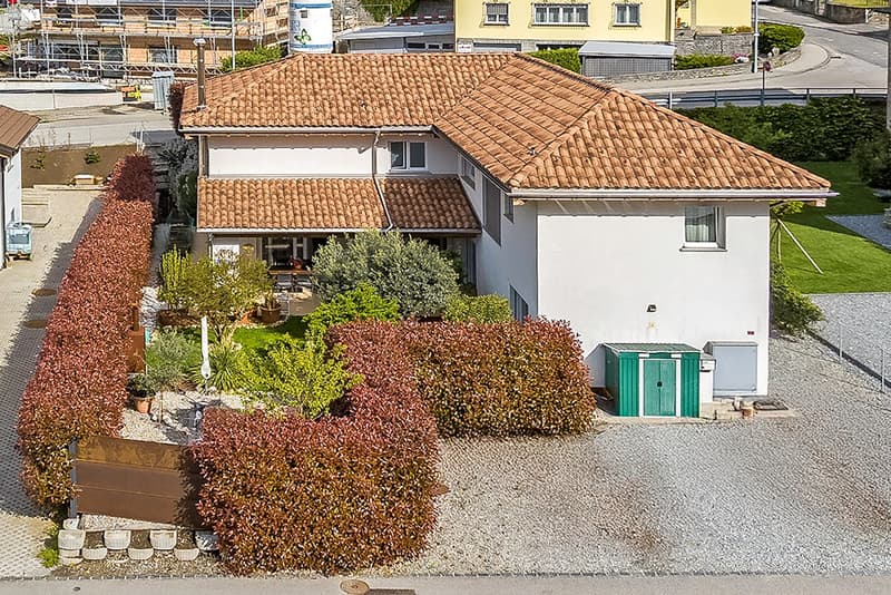 Grande 3.5 locali con giardino (15)