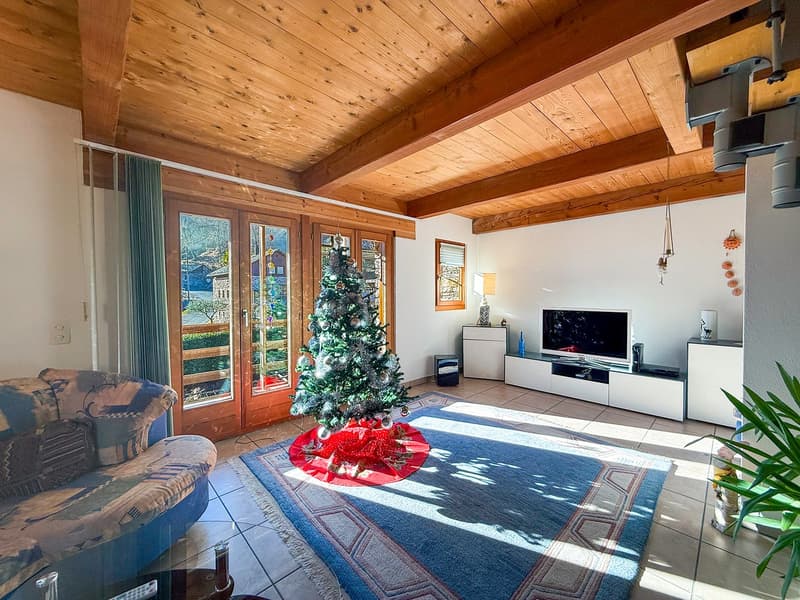 Blue rug, sofa with cushions, Christmas tree, flat screen TV, wooden ceiling, glass doors.